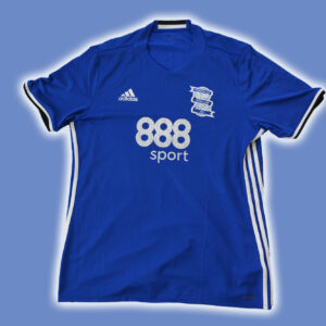 Birmingham City 2016/17