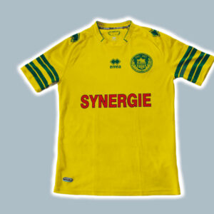 Nantes 2013-14