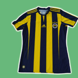 Fenerbahce 2015-16