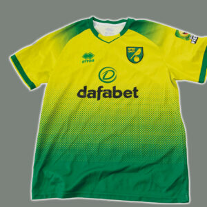 Norwich City 2019-20