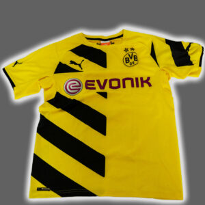 Borussia Dortmund 2014-15