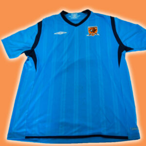 Hull City 2009-10