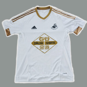 Swansea City 2015-16