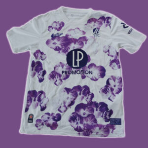 Toulouse third 2024-25