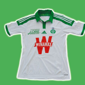Saint-Etienne 2014-15
