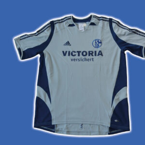 Schalke 04 2006-07