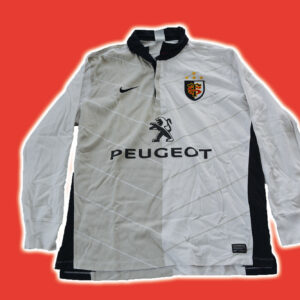 Stade toulousain 2010-11